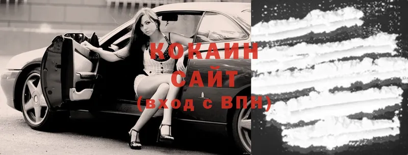 сколько стоит  Новозыбков  COCAIN Fish Scale 